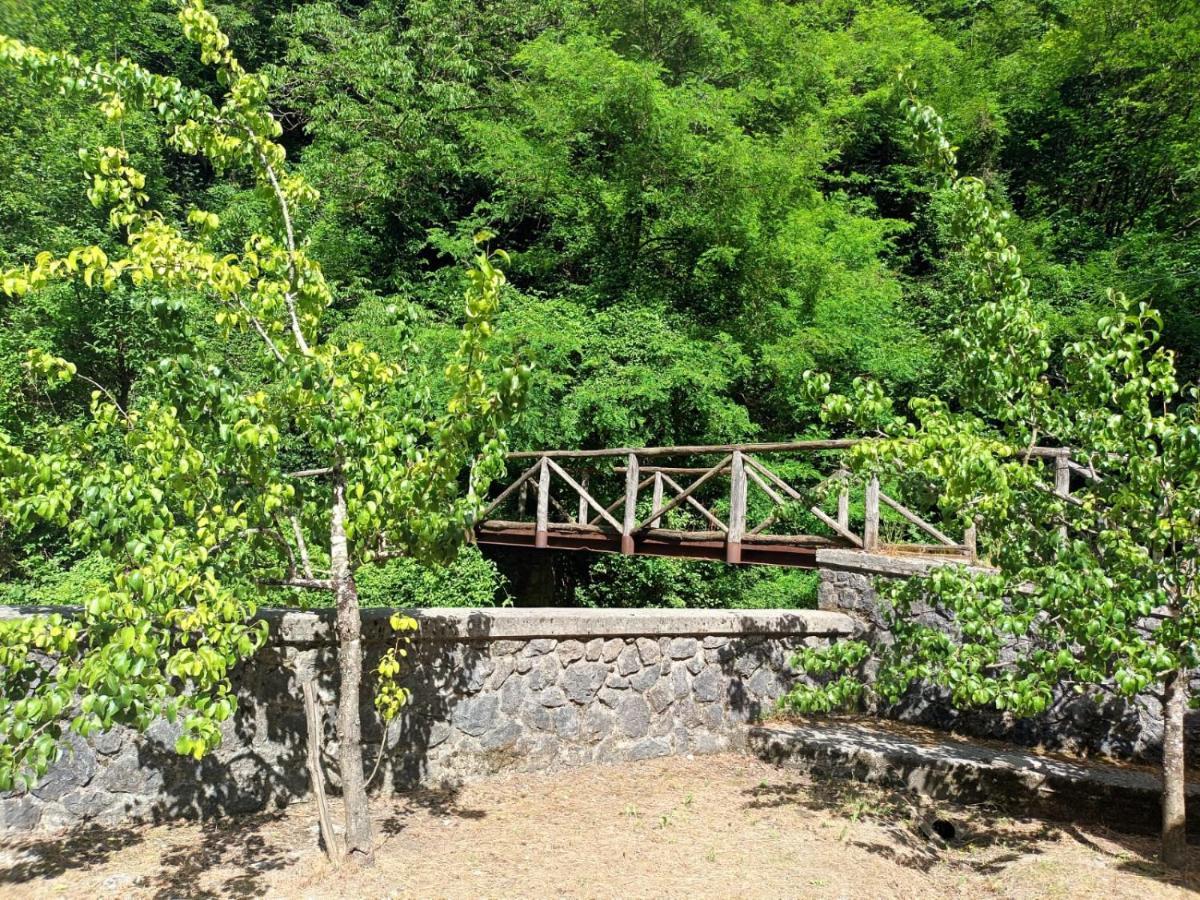 הוילה Fabbriche di Vergemoli Casolare Trombacco מראה חיצוני תמונה